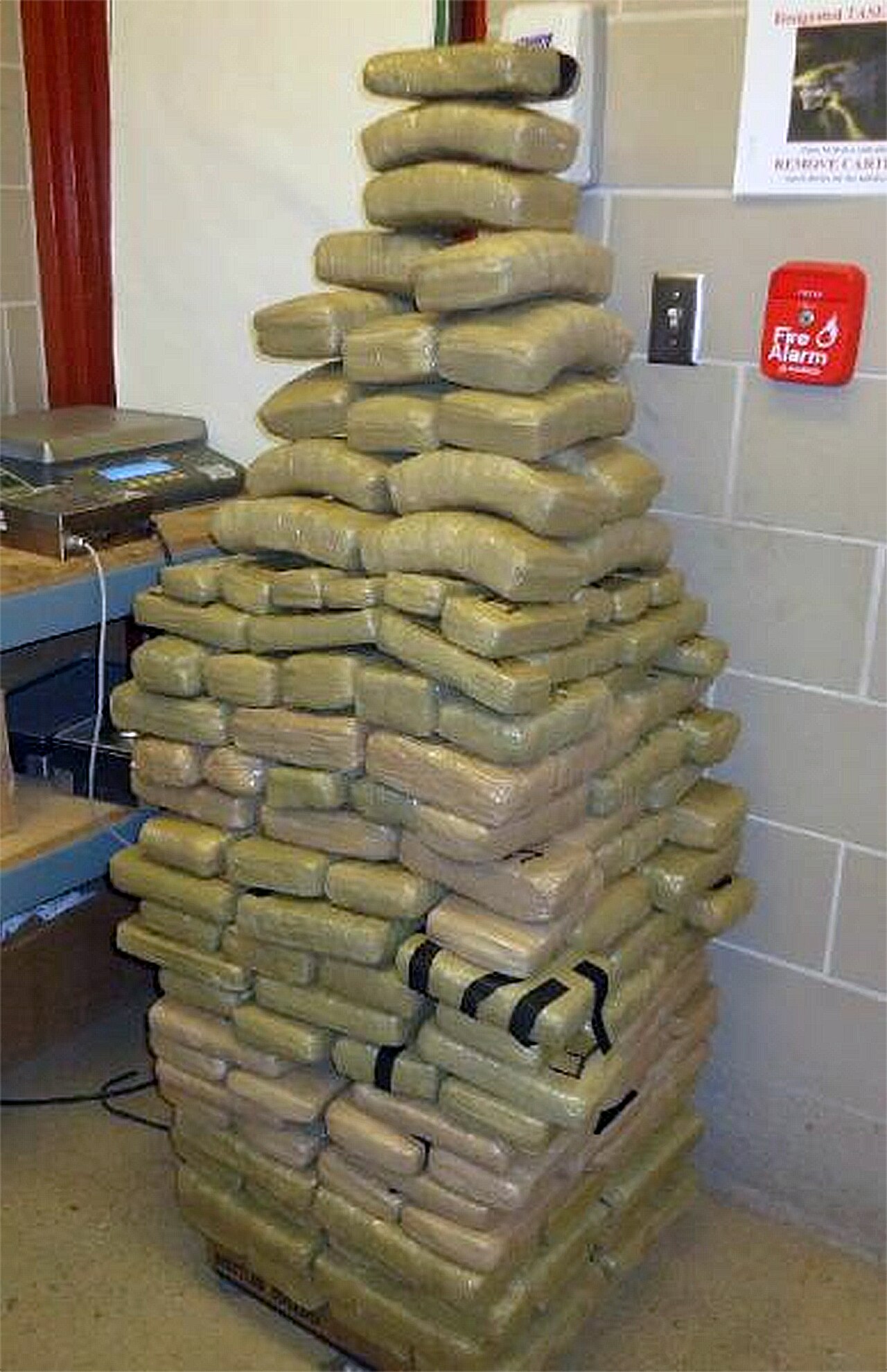 Bales of seized cannabis stacked at a customs facility